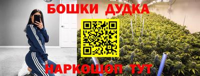 крисы Балаково