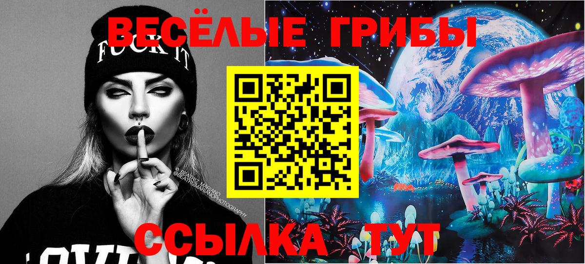 Гусиноозёрск  Псилоцибиновые грибы ЛСД  Псилоцибиновые грибы Psilocybe  Вход с VPN 